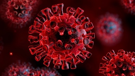 視点：グローバルリサーチ：新型コロナウイルスの根源のありかと米国が答えるべき１０の質問