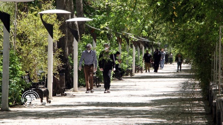 Firenze-Shiraz: i sindaci delle due città auspicano sviluppo relazioni culturali