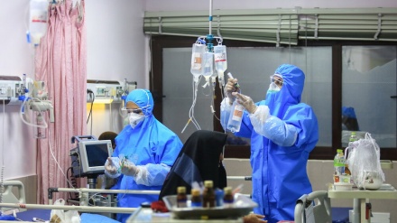 Ўзбекистонда коронавирус инфекциясини юқтирганлар сони 767 нафарга етди