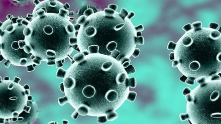 Usa: si registra il primo caso Coronavirus al Pentagono 