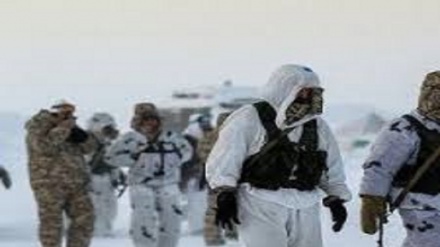 ¿Hacia la militarización del Ártico?