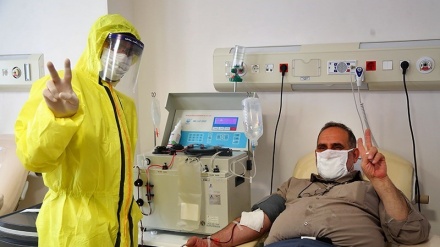 Donor Plasma untuk Pasien COVID-19 di Iran (1) 