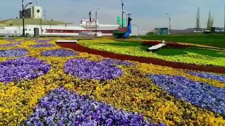 Video: La preciosa primavera en ciudad de Tabriz-Irán