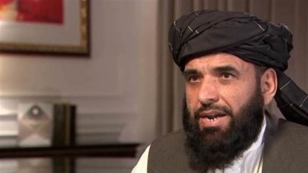 塔利班已暂停与阿富汗政府就释放囚犯的谈判