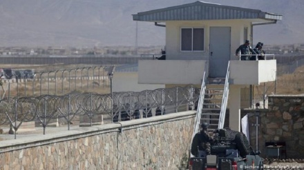 اعتصاب زندانیان پلچرخی کابل در اعتراض به تبعیض دولت افغانستان 