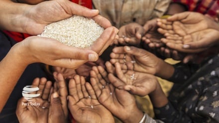 PBB, Corona dan Kelangkaan Makanan di Dunia
