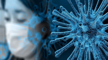 Hikmah Dibalik Wabah Virus Corona