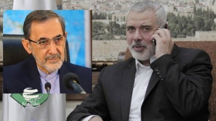 Советник Верховного лидера Исламской революции: Крах сионистского режима близок