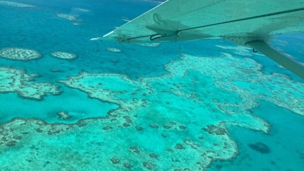 The Great Barrier Reef is suffering its most widespread bleaching ever recorded