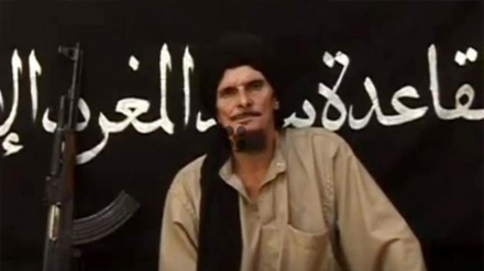 Covid-19: la France militarisée, les terroristes relâchés ?