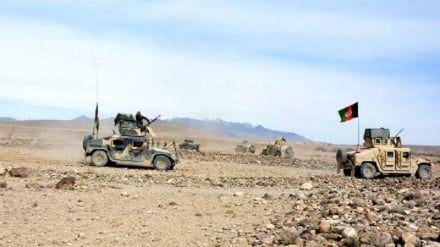  تلفات درگیری ها در افغانستان