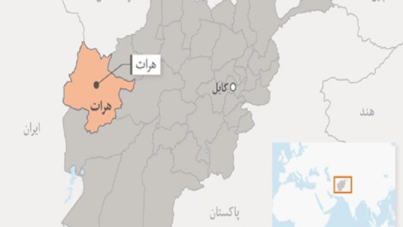 کشته شدن ۵ کارمند بانک مرکزی افغانستان در هرات