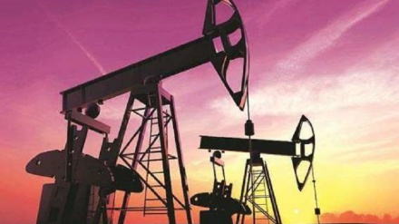 Petrolio risale a 14 dollari al barile