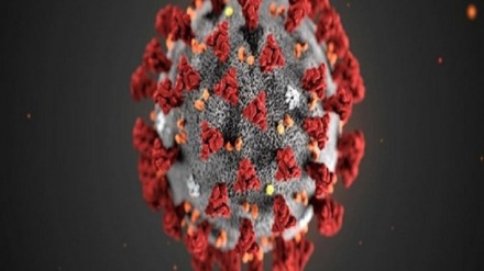 شمار مبتلایان کرونا در جهان از مرز ۲ میلیون نفر گذشت