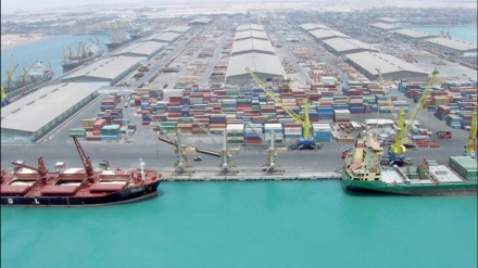  Iran ha esportato 3mila tonnellate di prodotti acquatici in 11 paesi