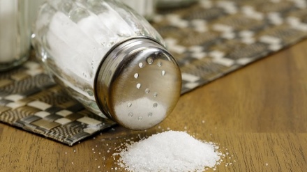 Excess dietary salt may weaken immunity against bacteria in kidneys