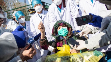 全球新冠病毒感染死亡病例累计超过19.8万例