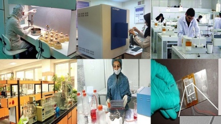 伊朗在卫生领域是一个强大的国家