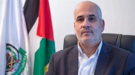 Palestinians need unified national strategy against Israel: Hamas