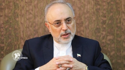 Salehi: IAEA jangan Jadi Alat Spionase