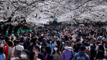 Japonia pret kolaps nga përhapja e virusit Korona