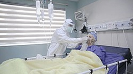 CNN: יותר מ-900 מתו ביממה האחרונה מקורונה