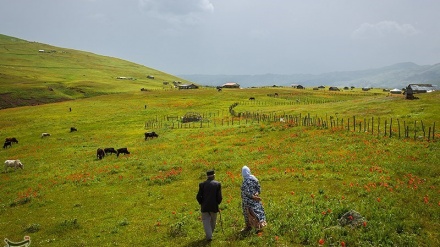 De tolışon - 18/4/2020