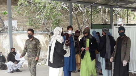 ازدحام افراد برای آزمایش کرونا در ولایت هرات 
