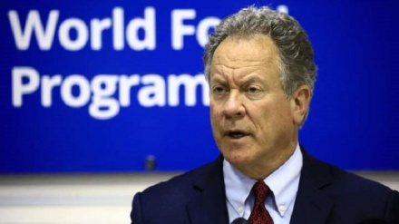 WFP Peringatkan Dampak Pelabelan Teroris terhadap Ansarullah