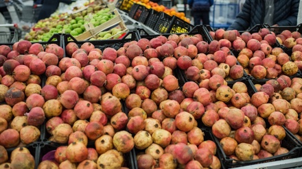 رفع کمبود مواد غذایی در تاجیکستان