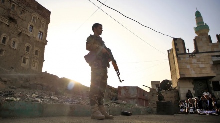 Große jemenitische Operation säubert größten Teil der Provinz und tötet über 1.200 saudische Söldner