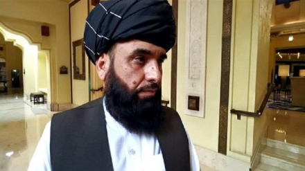 توقف مذاکره طالبان با دولت افغانستان درباره آزادی زندانیان
