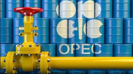 Petrolio, summit Opec a Vienna per decidere tagli alla produzione + VIDEO