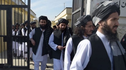آزادی مرحله ای زندانیان طالبان در راستای توافقنامه امریکا و طالبان صورت می گیرد