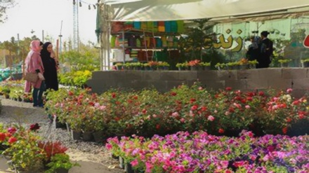 Coronavirus : le marché aux fleurs et aux plantes dans ces jours où l’Iran a basculé