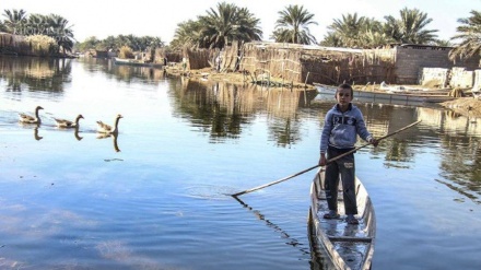 Le meraviglie sconosciute dell'Iran (2): l'Oasi di Shadegan