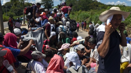La Migración centroamericana: Causas y desafíos