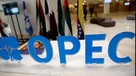 Arabia Saudite kërkon takim të jashtëzakonshëm të OPEC