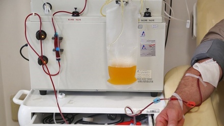 Donor Plasma untuk Pasien COVID-19 di Iran (2) 