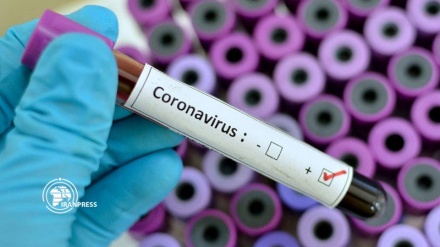  بحران کرونا و ارزیابی اشتباه دولت آمریکا 