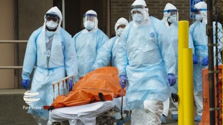 করোনাভাইরাস: শুধু নিউ ইয়র্কে ২৪ ঘণ্টায় ৭৭৯ জনের প্রাণহানি