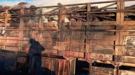 アンサーロッラー、「イエメンにおけるアラブ連合軍の食料品と医薬品の襲撃は、戦争犯罪」