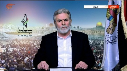 Xhihadi Islamik: Regjimi sionist ka thyer e shkelur të gjitha standardet njerëzore