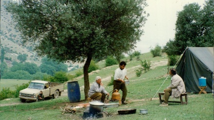 Filmi “Nën hijen e pemës së ullirit” i Kija Rrostami në listën e filmave më të mirë në historinë e “Canne”