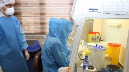 موسسه پاستور ایران یک واکسن ضد کرونا کاملا ایرانی می سازد