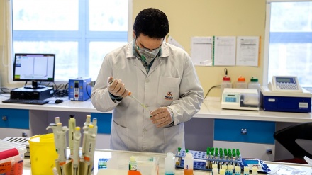 משלחת ראשונה של עריכות אבחון קורונה האיראניות הועברה לאירופה