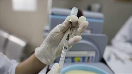 日本で開発中の新型コロナワクチン、動物実験で抗体確認　