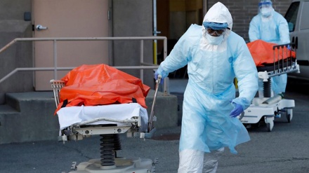 Statistikat e Covid-19