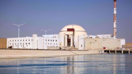 Iran to cut dependence on Russia for maintenance of Bushehr nuclear plant