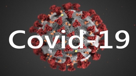 دستاورد دانشمندان ایرانی؛ کاهش طول درمان بیماری کووید-19 به شش روز